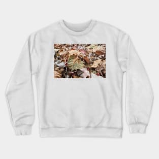 Camo camouflage Crewneck Sweatshirt